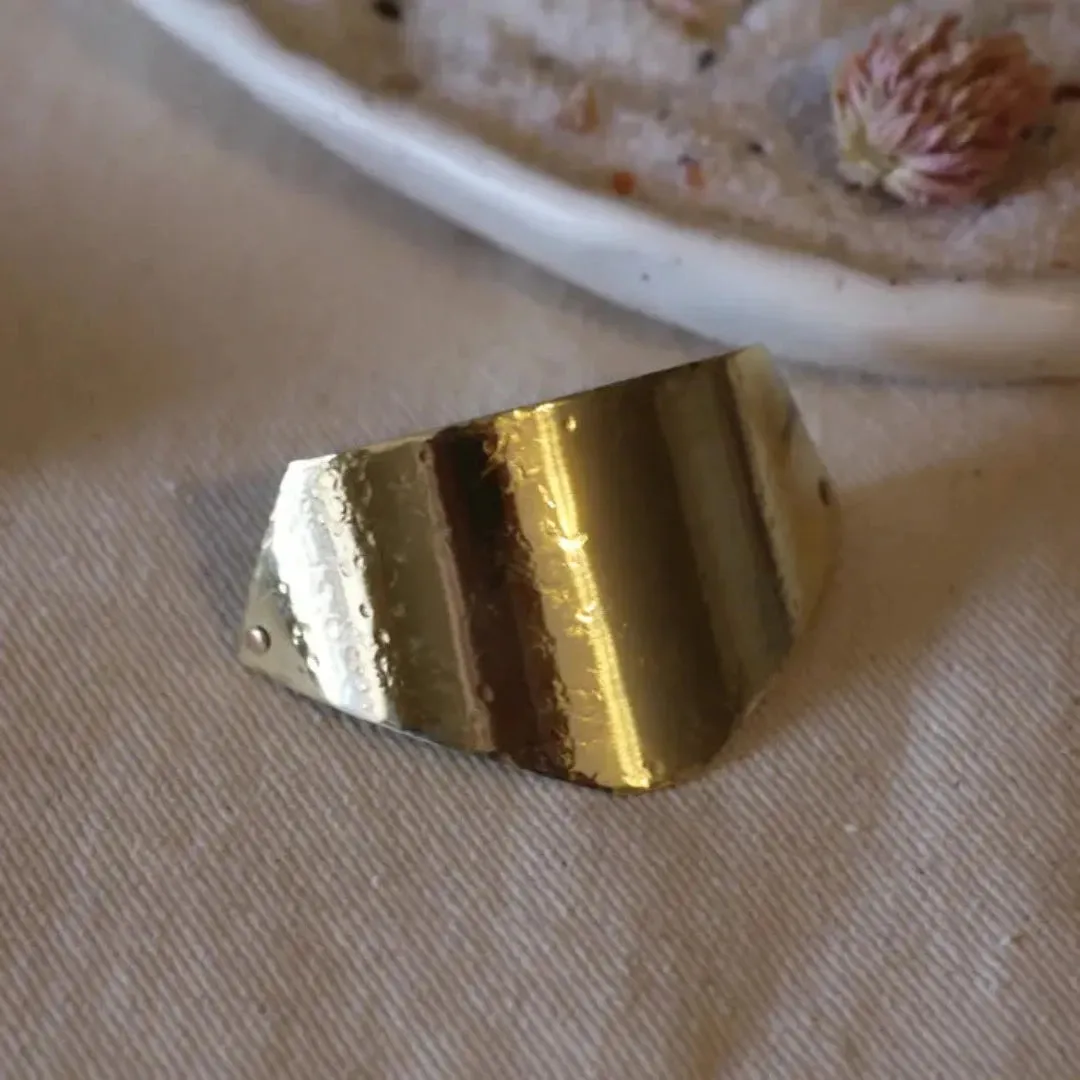 Brass Shield Barrette