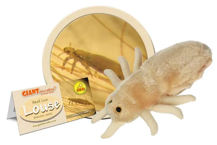 Louse (Pediculus capitis) Giant Microbes Plush