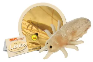 Louse (Pediculus capitis) Giant Microbes Plush